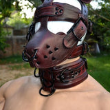 Hand made Leather dog mask  Pup play  Puppy Mask  with muzzle and head harness