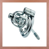 Ultimate Male Chastity Cage with Spiked Ring and Urethral Sound