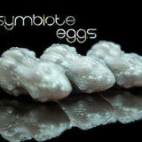 Symbiote Eggs - Silicone Eggs for silicone ovipositor toys - Oviposition Eggs - Ovipositor - Kegel Eggs