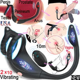 Vibrating Anal Dildo Prostate Massager Cock Ring Vibra