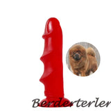 Wine Red Transparent Anal Plug G-spot stimulation Prostate Massager Sex Toys