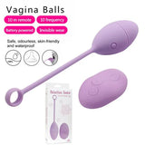 Rechargeable Clit licking G-spot Vibrator Dildo Stimulator Sex-toys for Women US